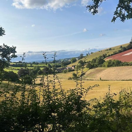 Countryside Converted Barn With Hot Tub Newton Abbot Eksteriør billede
