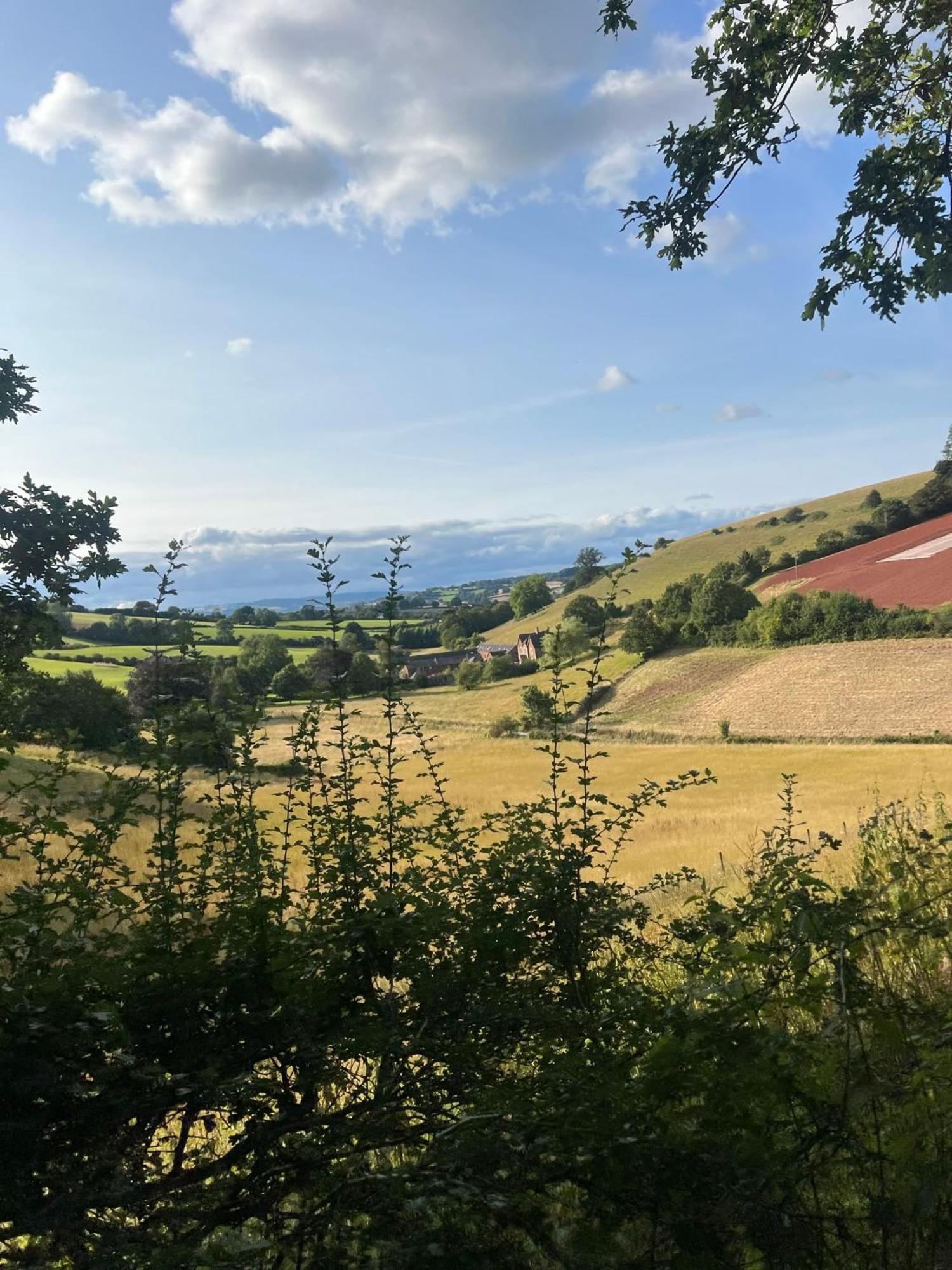 Countryside Converted Barn With Hot Tub Newton Abbot Eksteriør billede